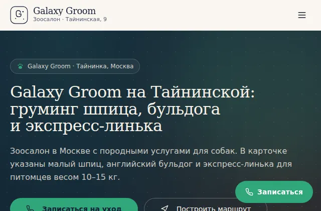 Первый экран сайта груминг-салона Galaxy Groom